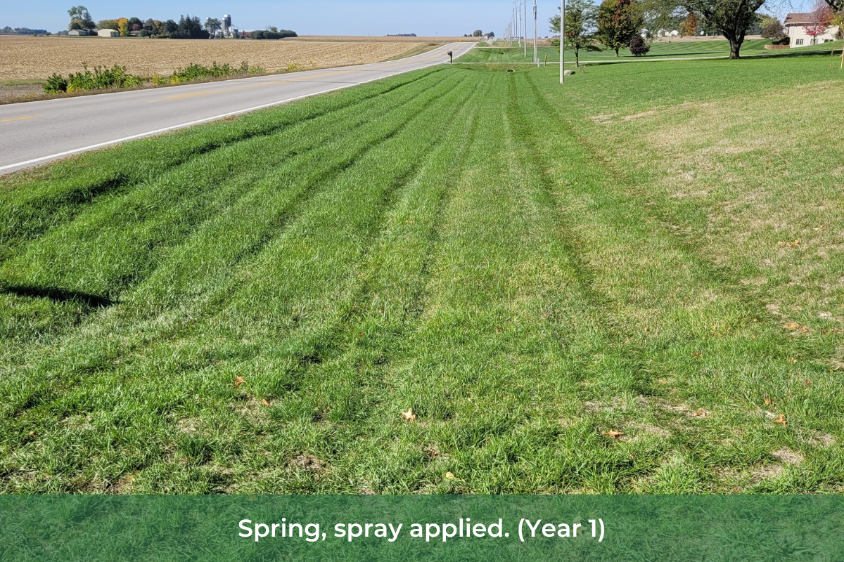 Landowner's ditch just after spray has been applied
